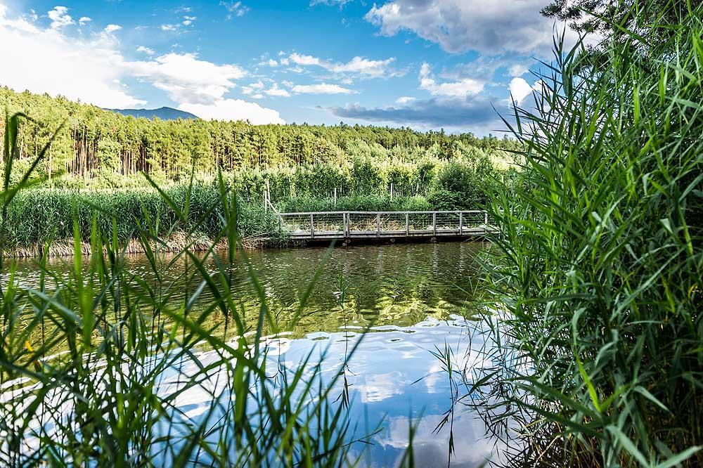 Vila Walderhof Natz Exteriér fotografie